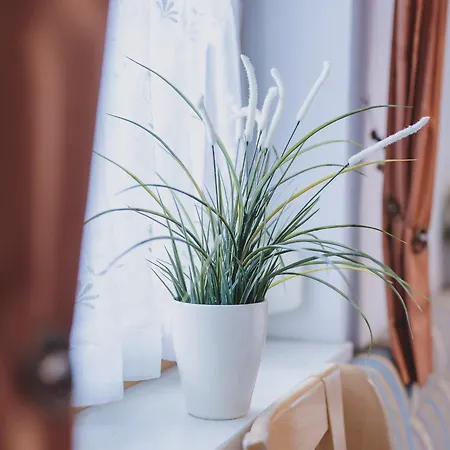 Appartement Lakeside Plattner By We Rent *